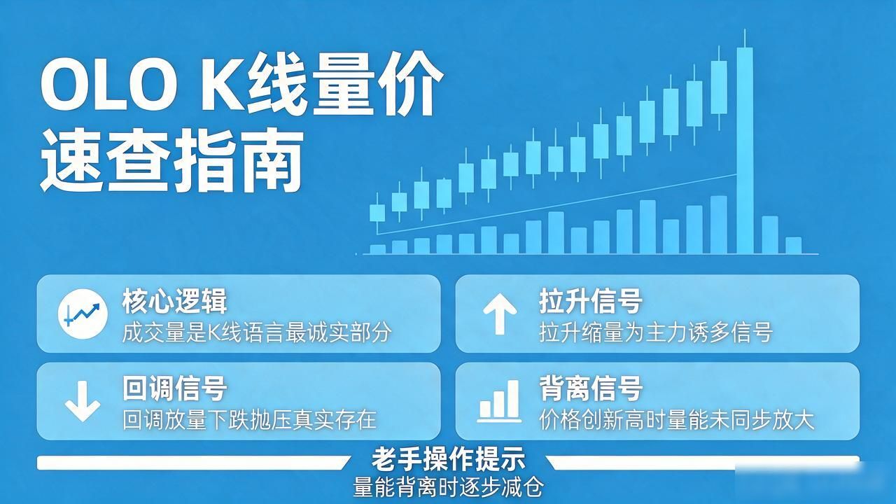 OLO数字货币K线图怎么看？新手速查指南